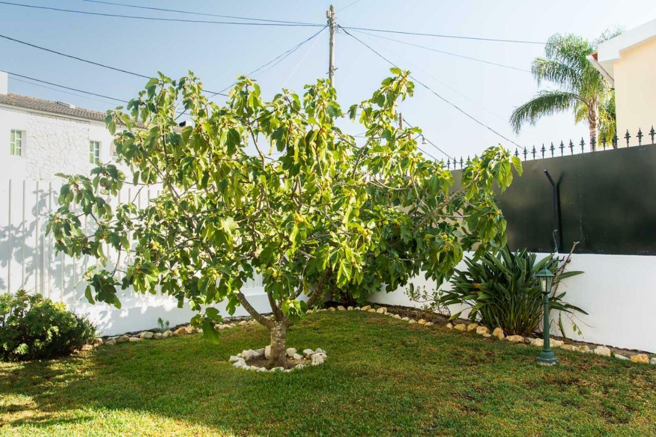 Villa Casa Da Quintinha - With A Pool *